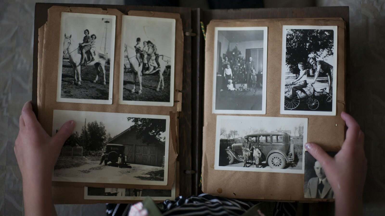 Photographs
